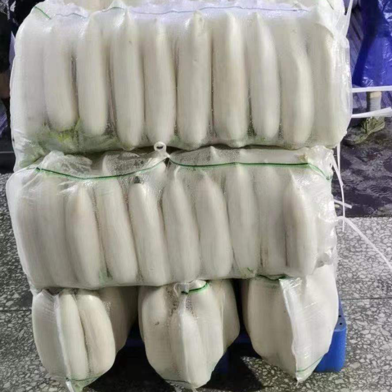 精品白萝卜三排四排五排保质保量货源稳定可持续供应