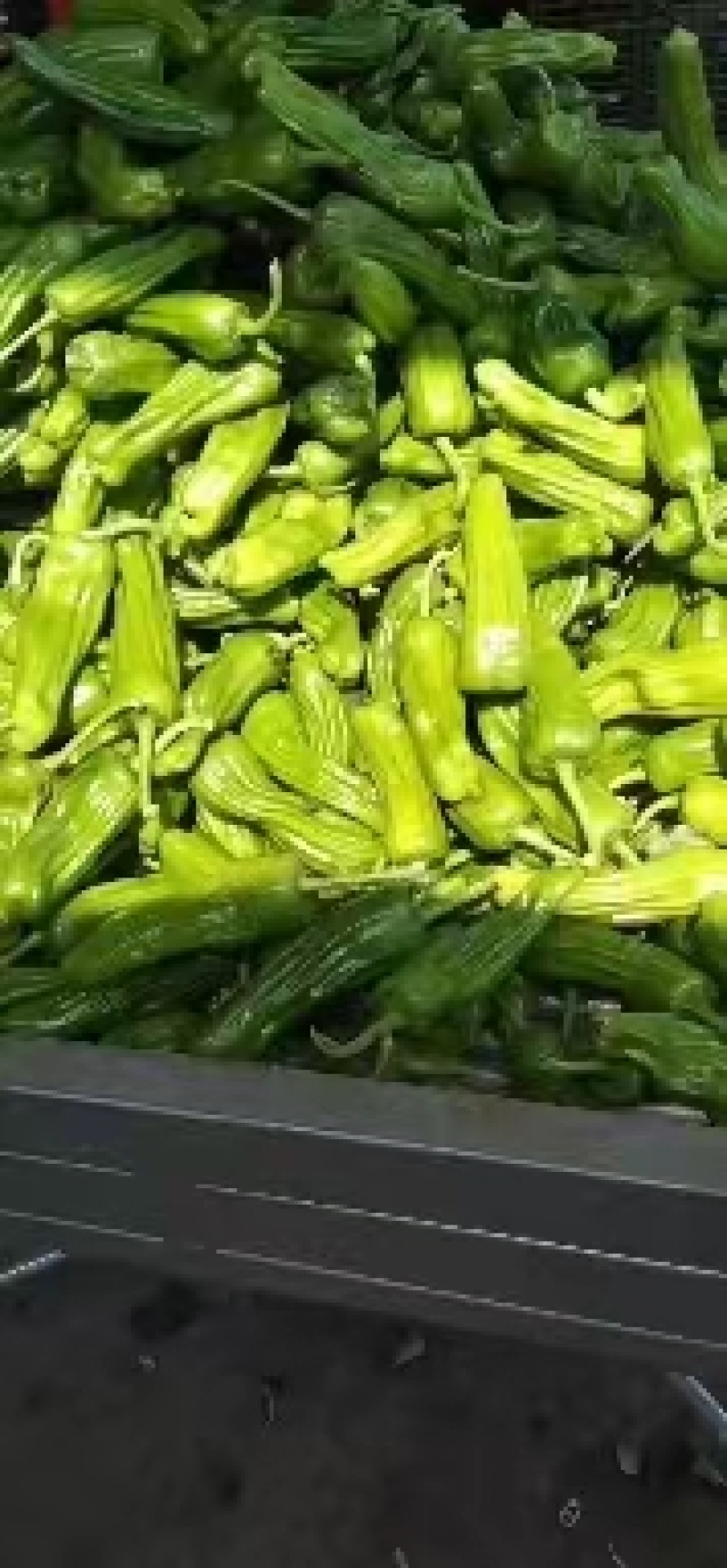 精品薄皮辣椒大量上市产地直供一手货源量大优惠
