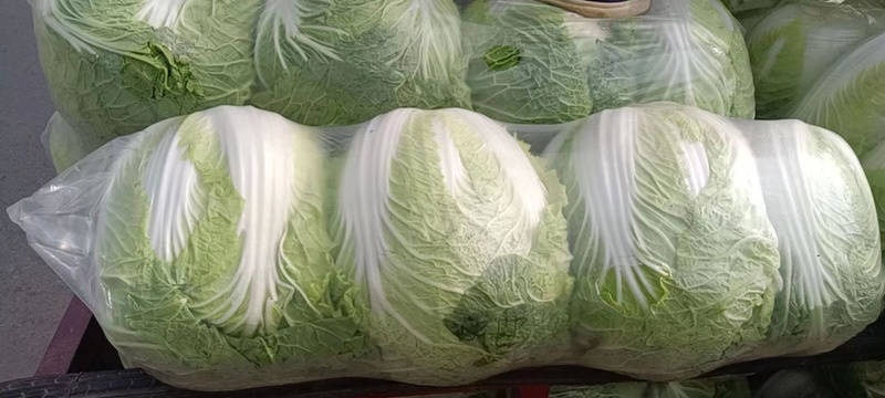 【推荐】义和秋白菜产地直发，诚信代办10年专业靠谱，欢迎来电
