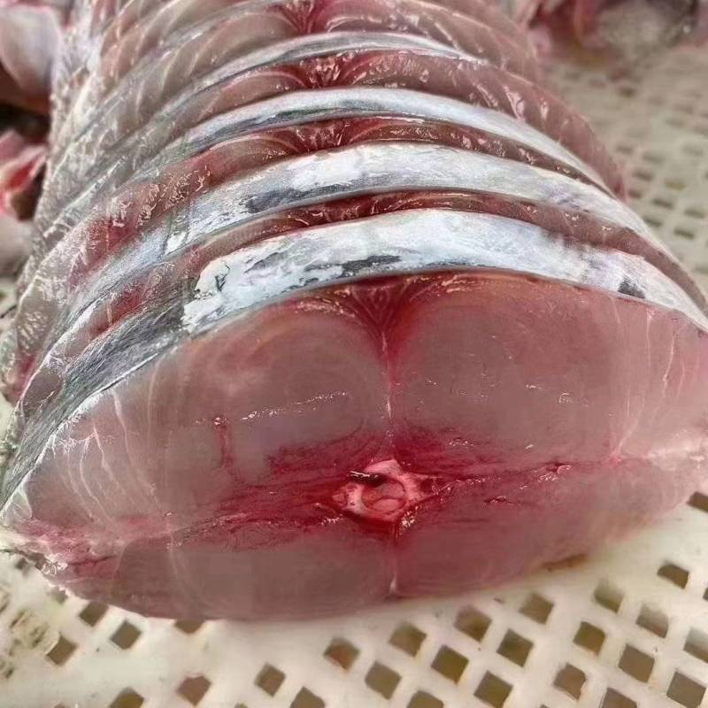 马胶鱼大片、马胶肉片、钓胶鱼肉中段单片真空包装、肉质鲜美