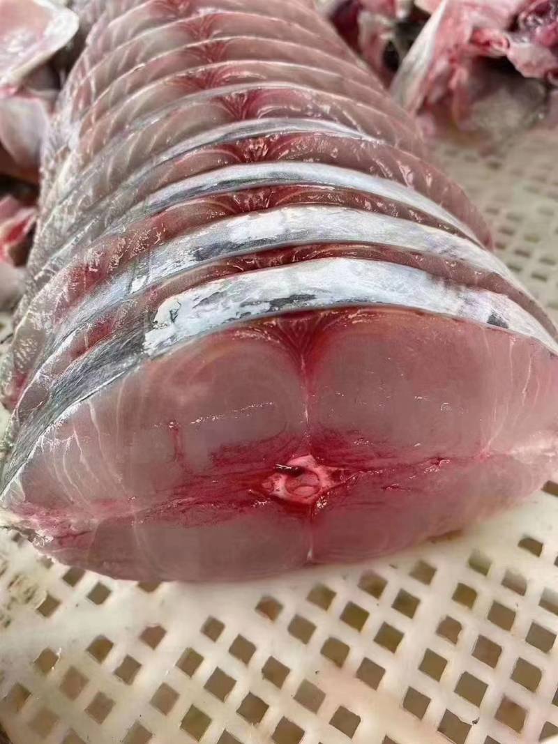 马胶鱼大片、马胶肉片、钓胶鱼肉中段单片真空包装、肉质鲜美