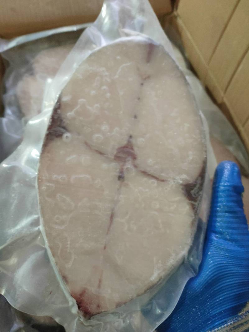 马胶鱼大片、马胶肉片、钓胶鱼肉中段单片真空包装、肉质鲜美