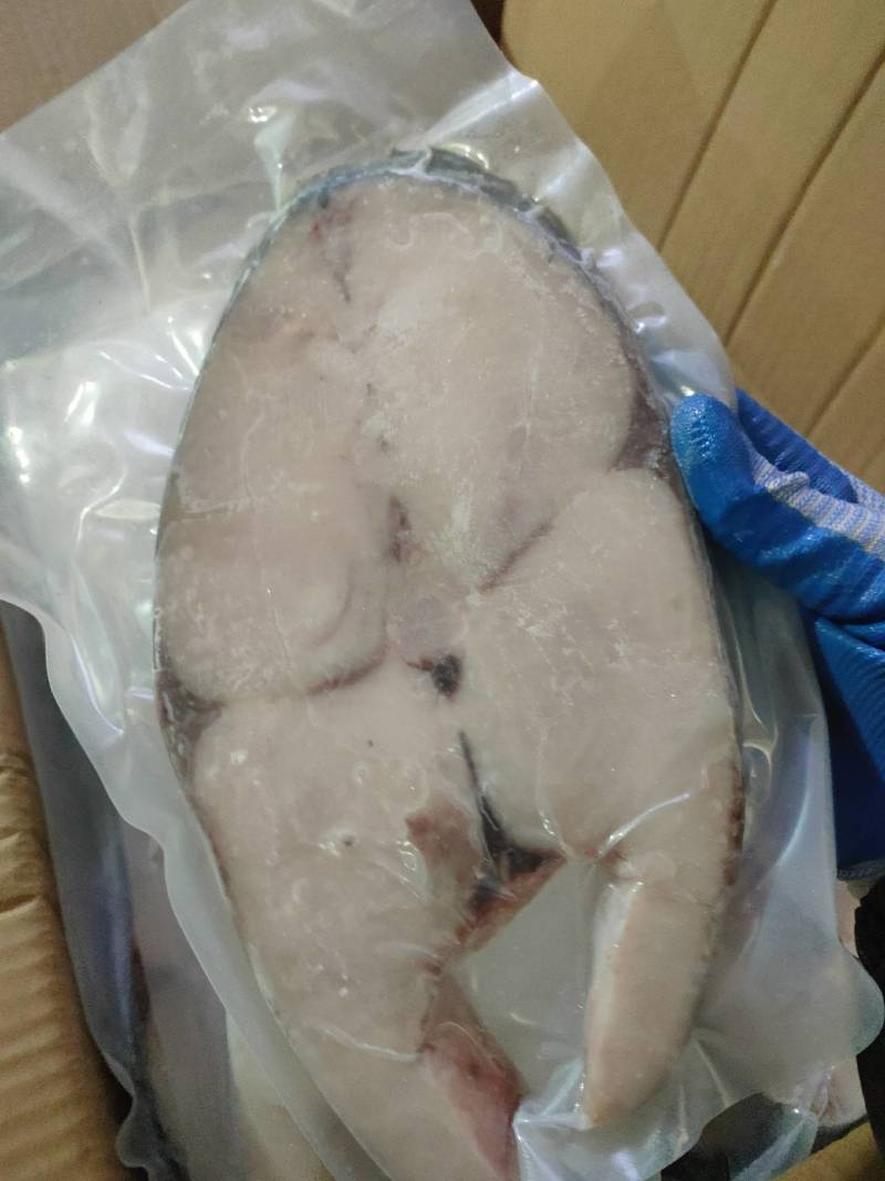 马胶鱼大片、马胶肉片、钓胶鱼肉中段单片真空包装、肉质鲜美