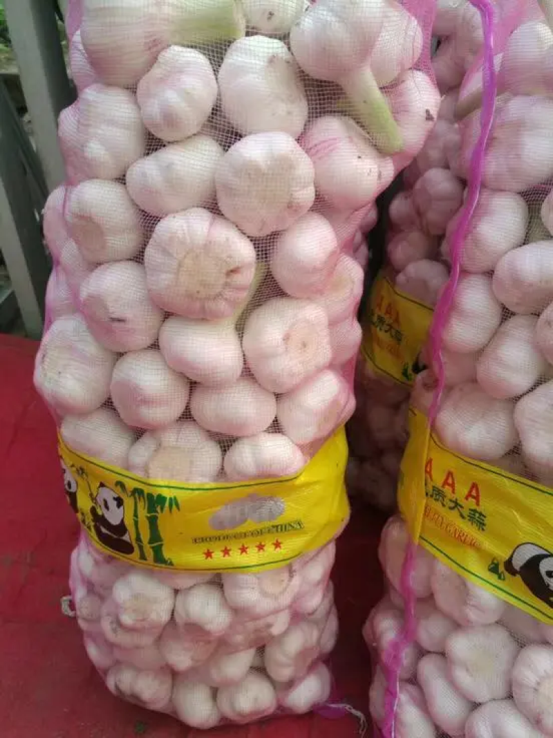 地块土蒜，扒米蒜！大量供应！代发全国！保质保量！