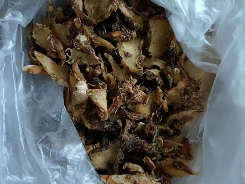 白及个子，半野生紫花三叉白芨，无硫足干不打药