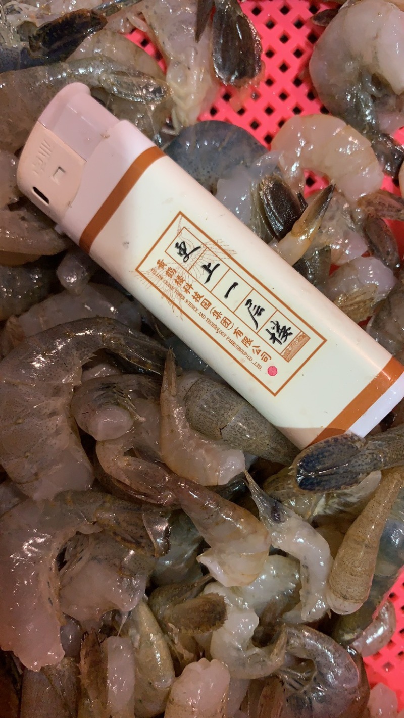 河虾虾尾