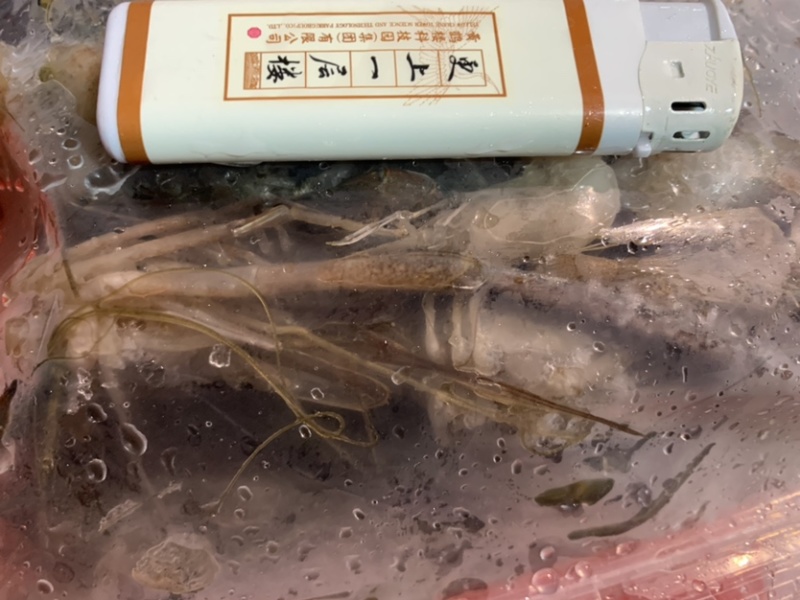 河虾虾尾