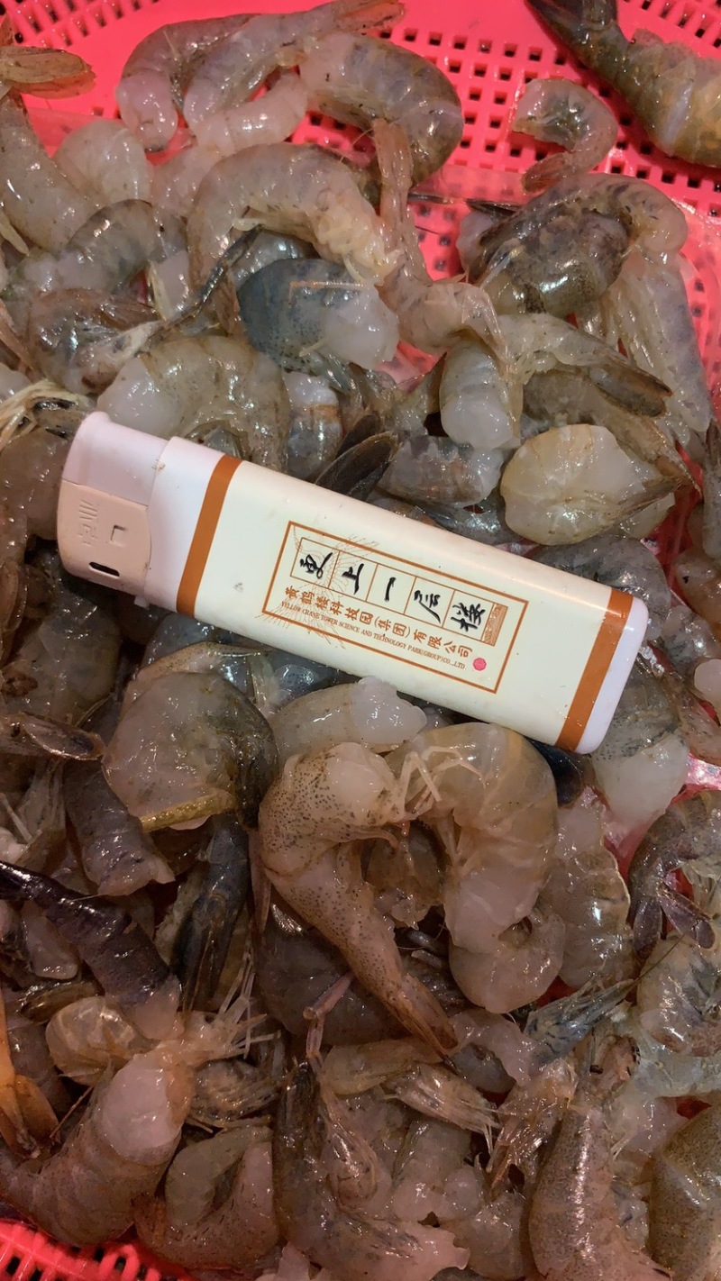 河虾虾尾