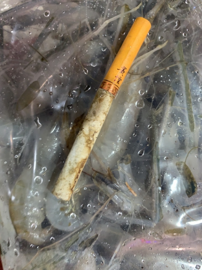 河虾虾尾
