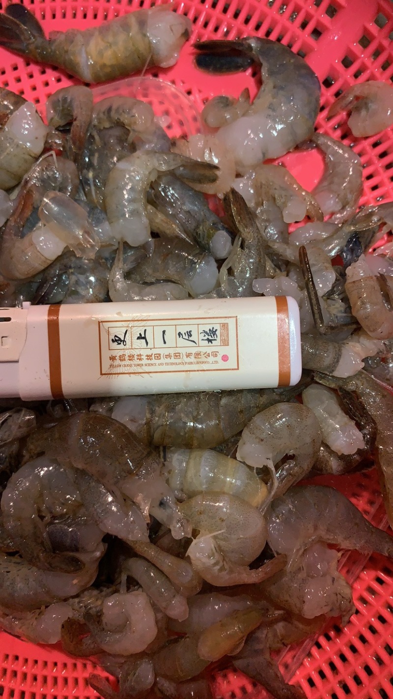 河虾虾尾