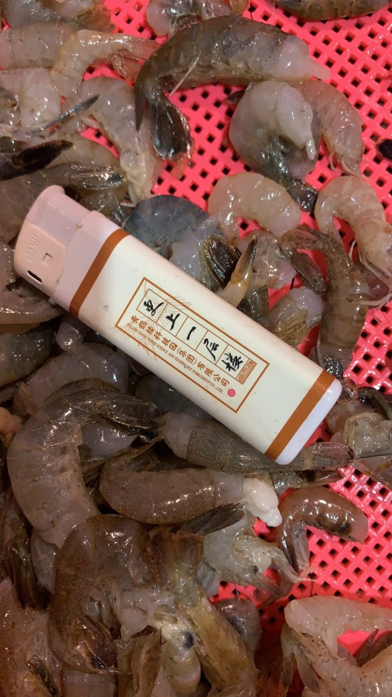 河虾虾尾