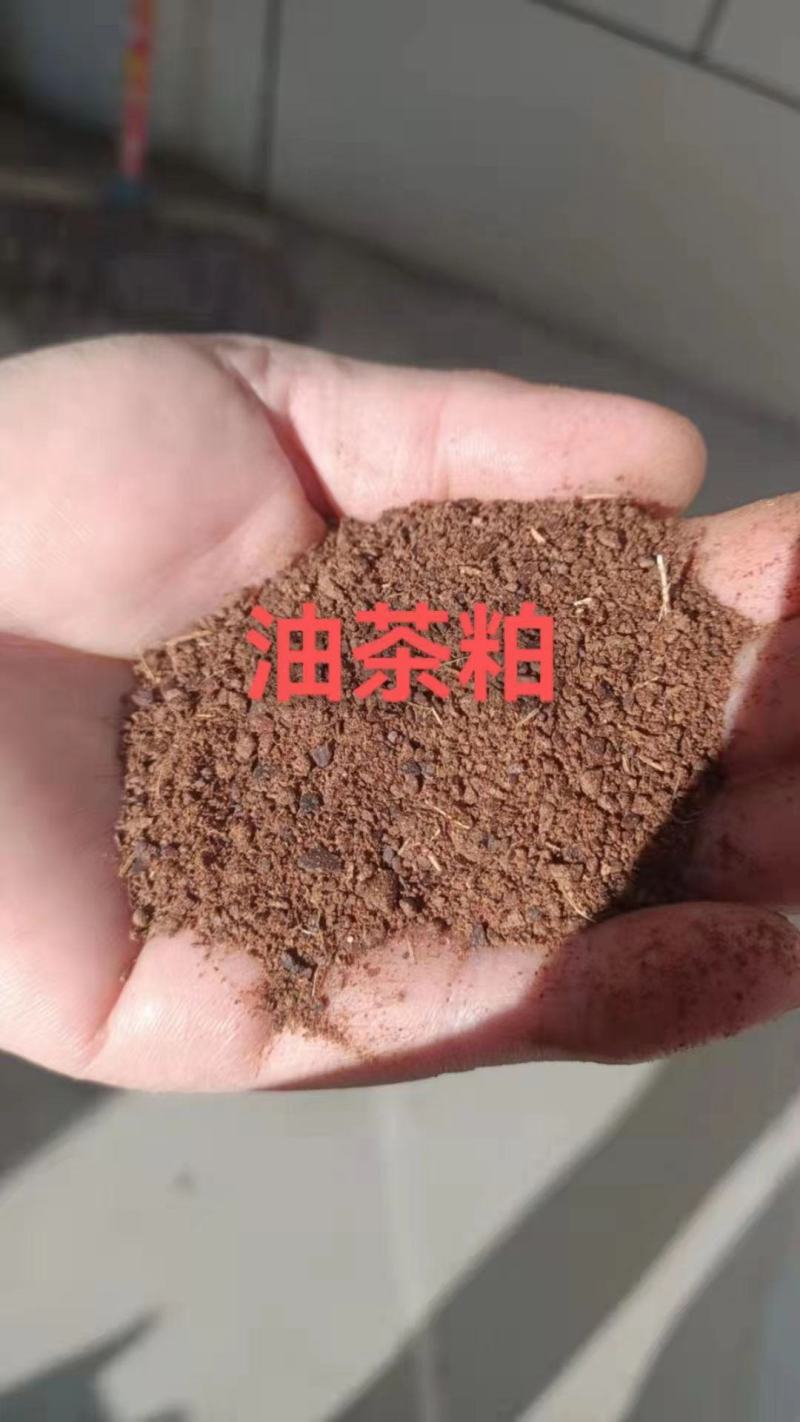 【精品】茶粕茶枯茶麸茶籽饼清塘水产养殖养虾蟹杀螺蚌