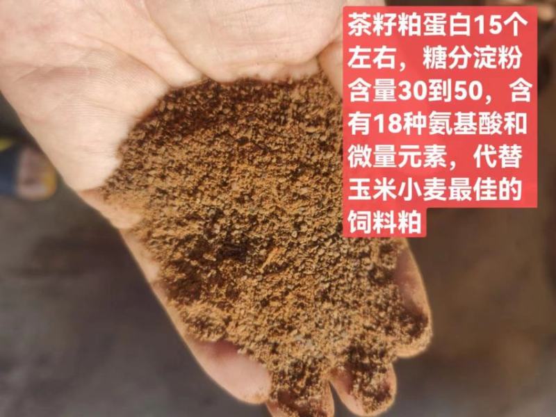 【精品】茶粕茶枯茶麸茶籽饼清塘水产养殖养虾蟹杀螺蚌