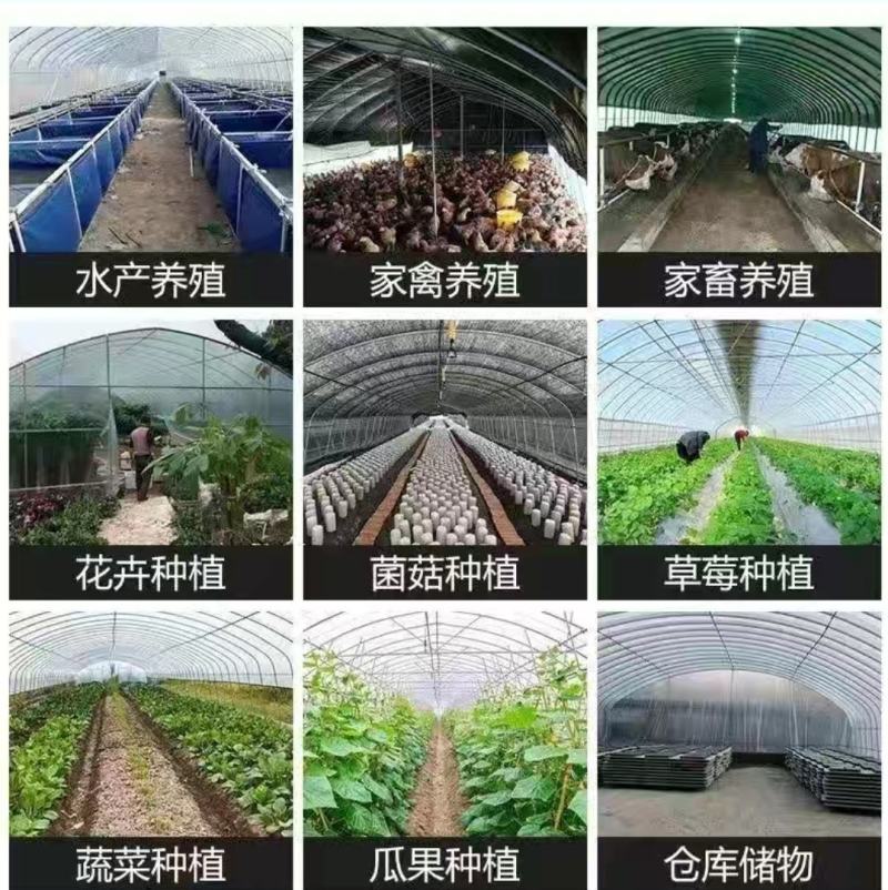 大棚钢管各种养殖棚种植棚简易大棚规格齐全欢迎订