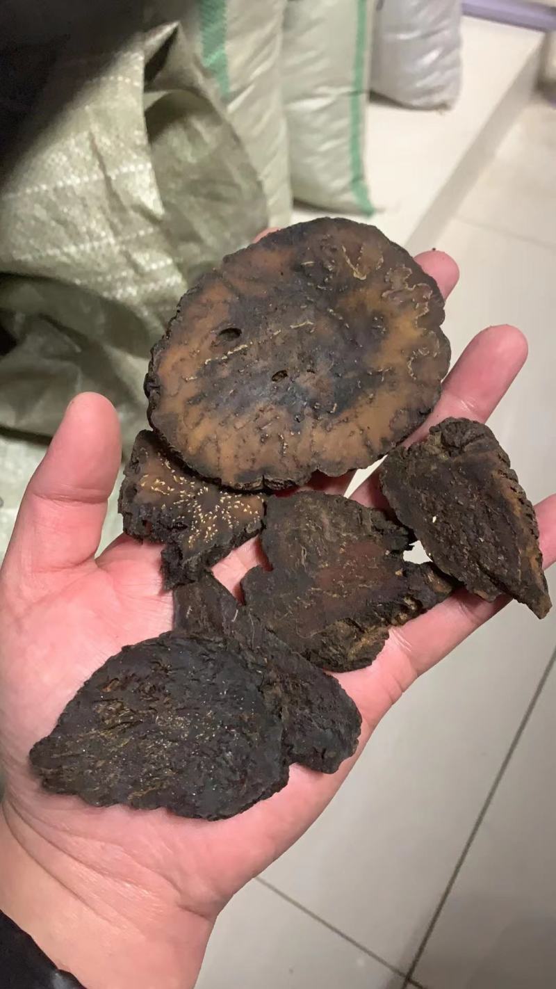 肉苁蓉肉苁蓉片一鲜一蒸内蒙古鲜肉苁蓉片锁阳大芸
