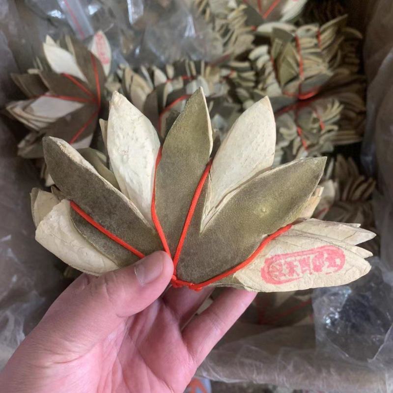 化州化橘红