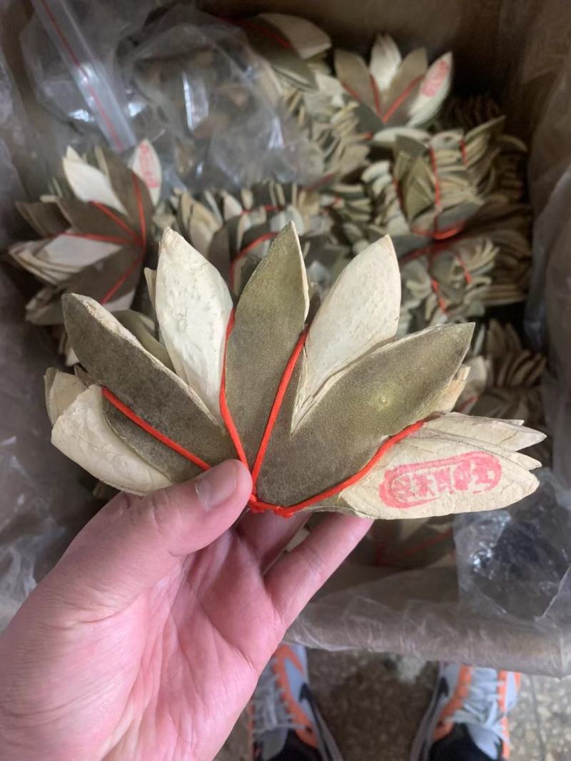 化州化橘红