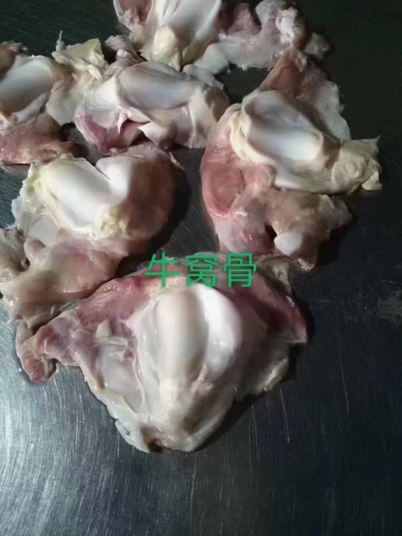 牛窝骨