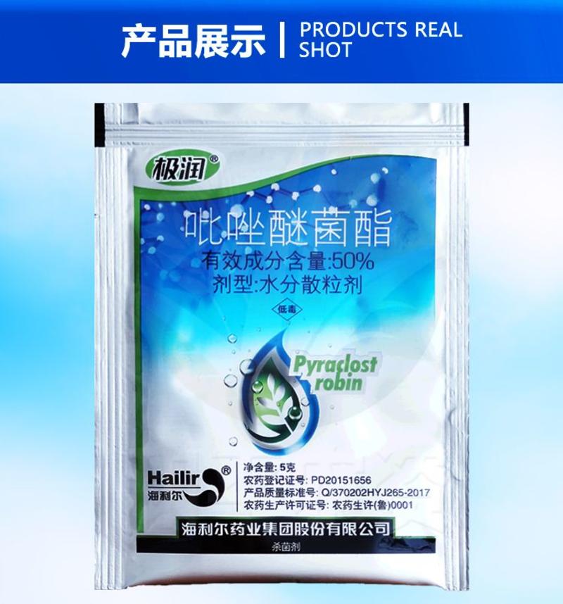 极润50%吡唑醚菌酯植物霜霉病叶斑病炭疽病白粉病农药杀