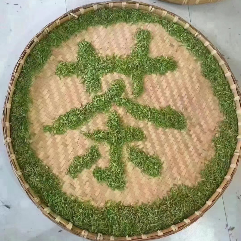 江苏苏州东山碧螺春茶🍵