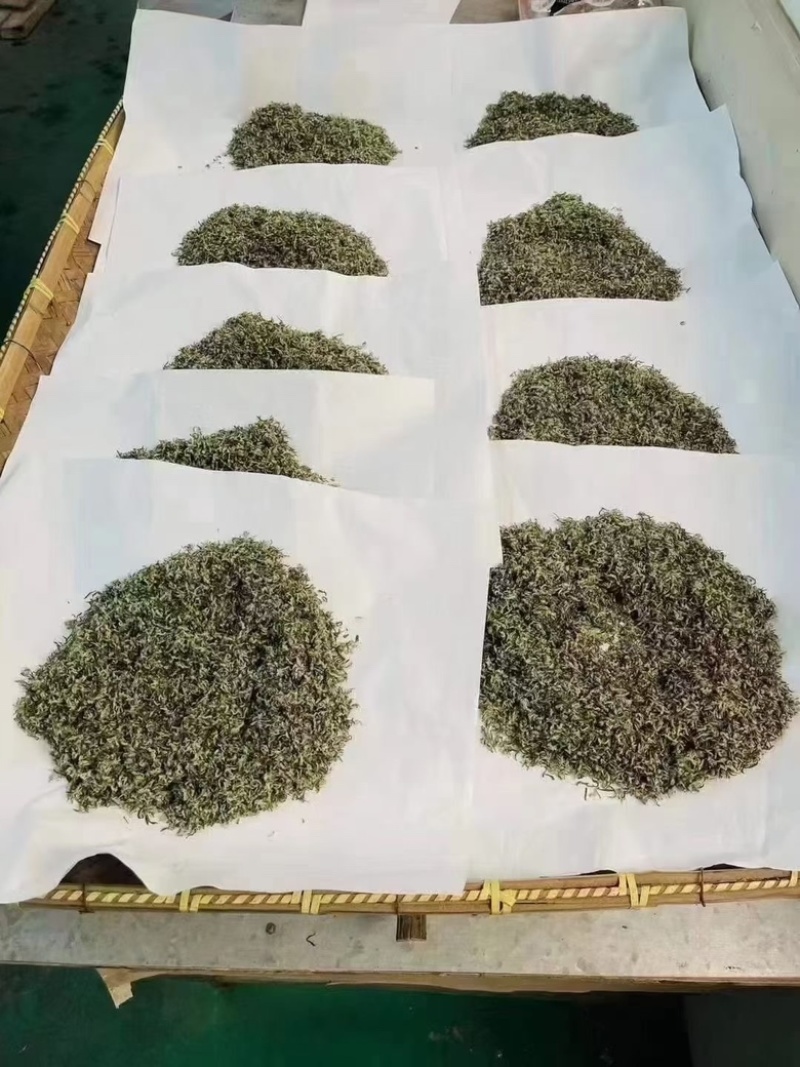 江苏苏州东山碧螺春茶🍵