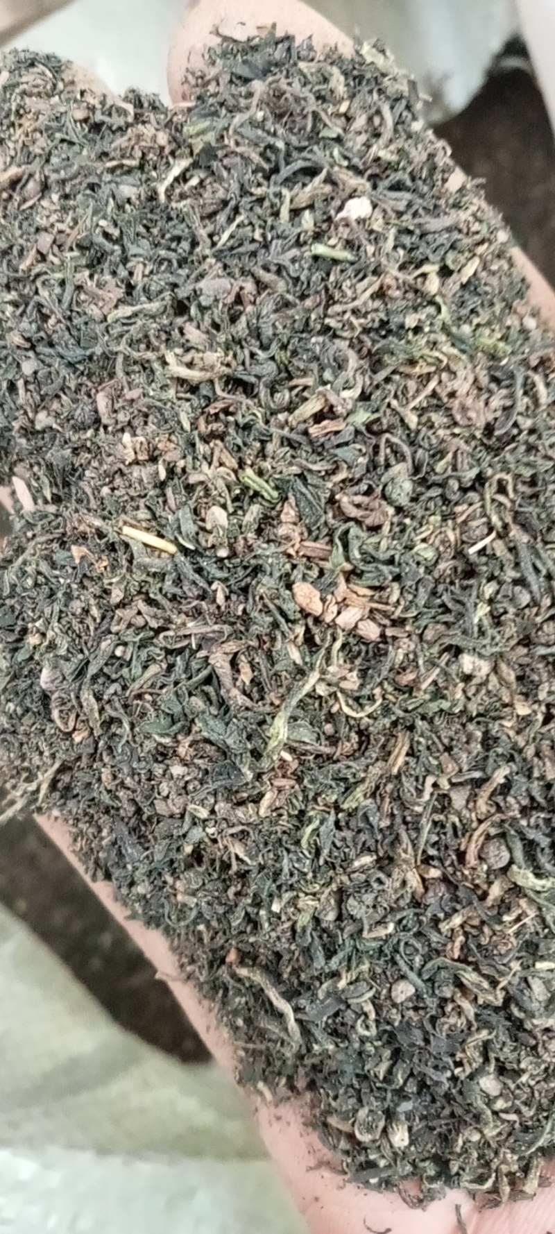 蒲公英茶沫