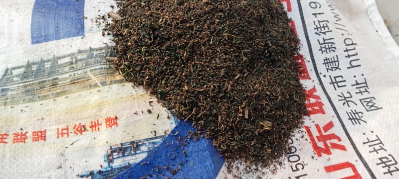 蒲公英茶沫