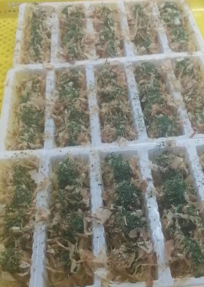 章鱼小丸子，厂家直销，全国发货欢迎咨询。