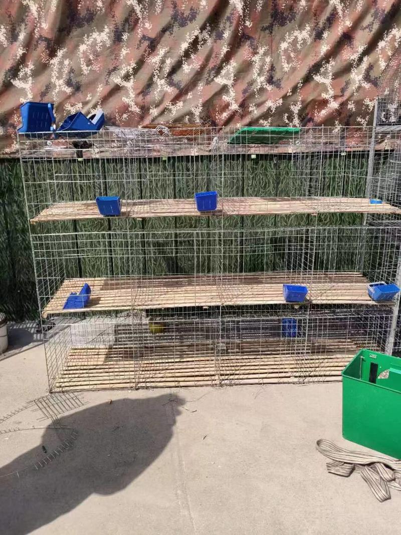 兔笼养殖兔笼大型工厂兔笼免清粪的兔笼家用新款养殖