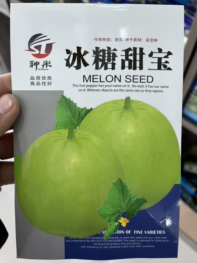 厂家热销绿宝甜瓜日本甜宝种子甜度高口感细腻可口多汁味美
