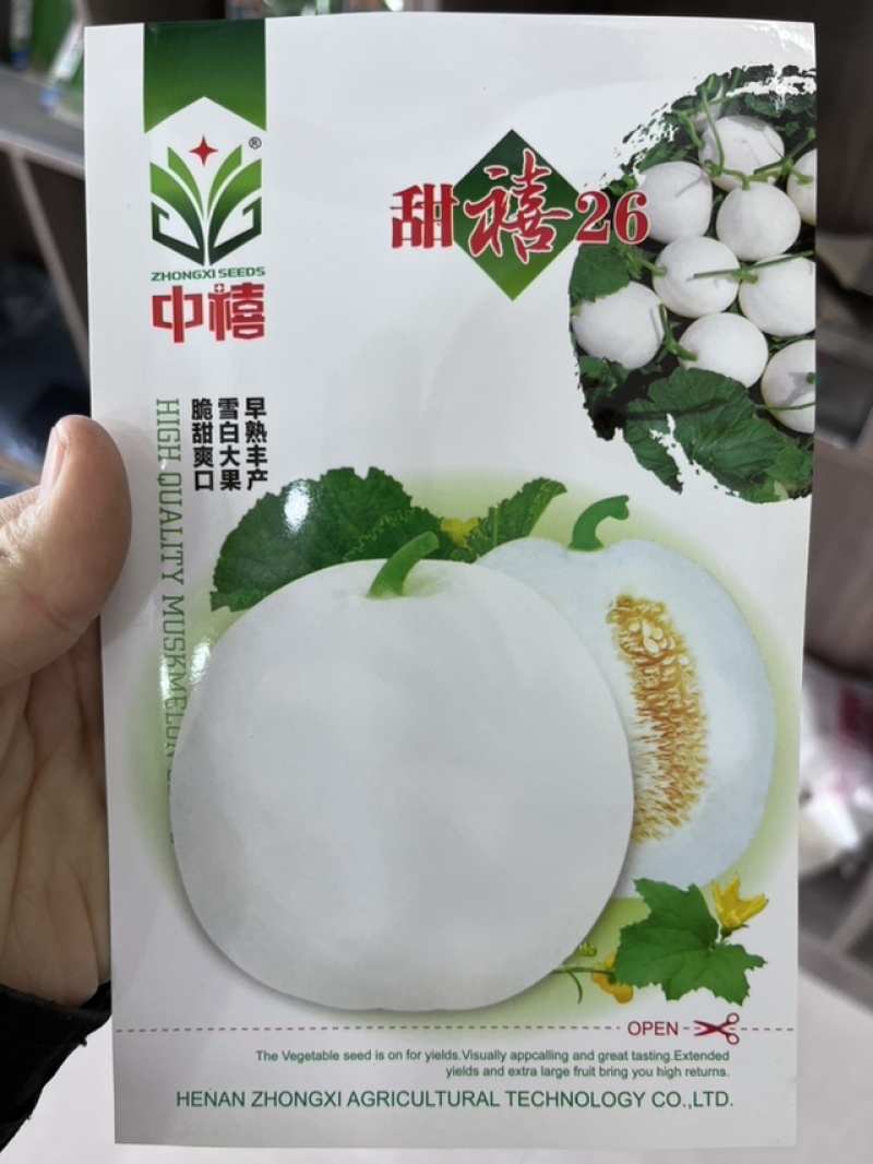 厂家热销绿宝甜瓜日本甜宝种子甜度高口感细腻可口多汁味美