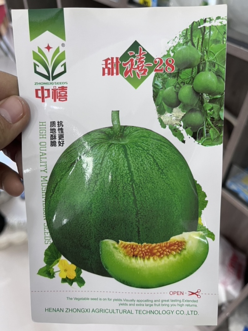 厂家热销绿宝甜瓜日本甜宝种子甜度高口感细腻可口多汁味美