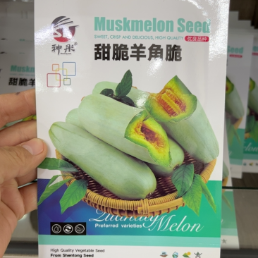 甜蜜羊角酥甜瓜种子灰白皮羊角酥羊角蜜种子