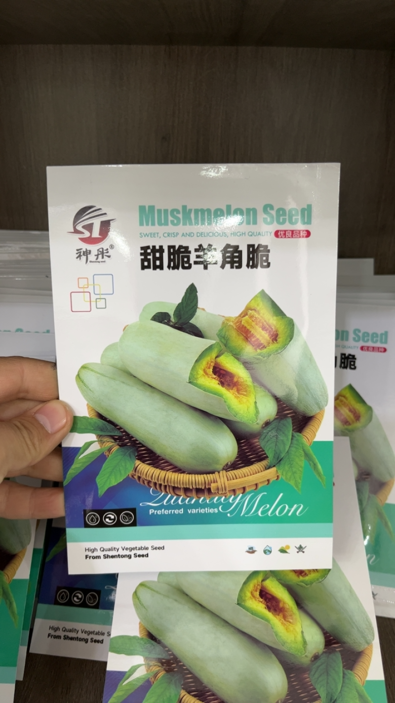 甜蜜羊角酥甜瓜种子灰白皮羊角酥羊角蜜种子