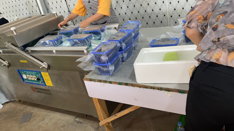 云南高山杨梅上市了，需要的老板可以下单了：可提供工厂货