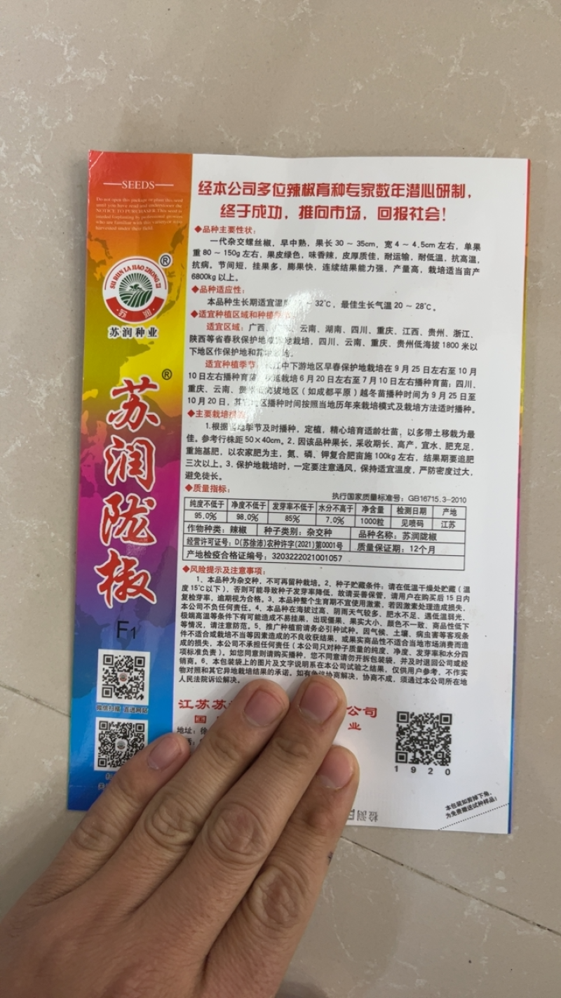 热销陇椒螺丝椒辣椒种子高端品种辣度高耐低温能力强挂果多