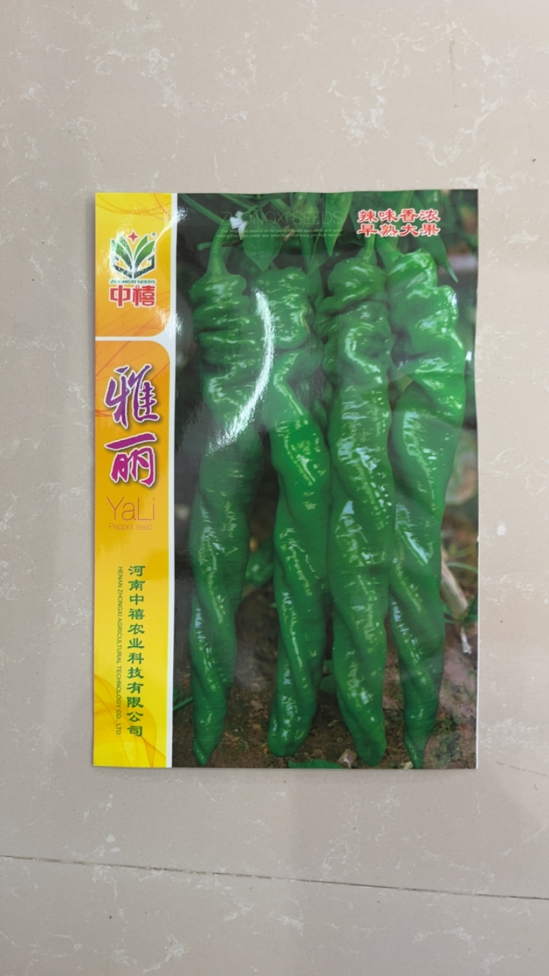 热销陇椒螺丝椒辣椒种子高端品种辣度高耐低温能力强挂果多