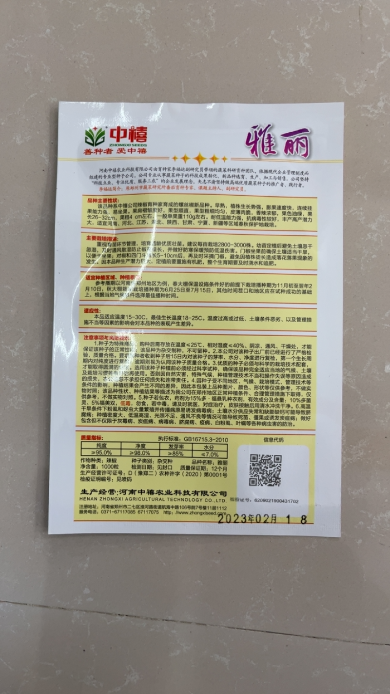 热销陇椒螺丝椒辣椒种子高端品种辣度高耐低温能力强挂果多
