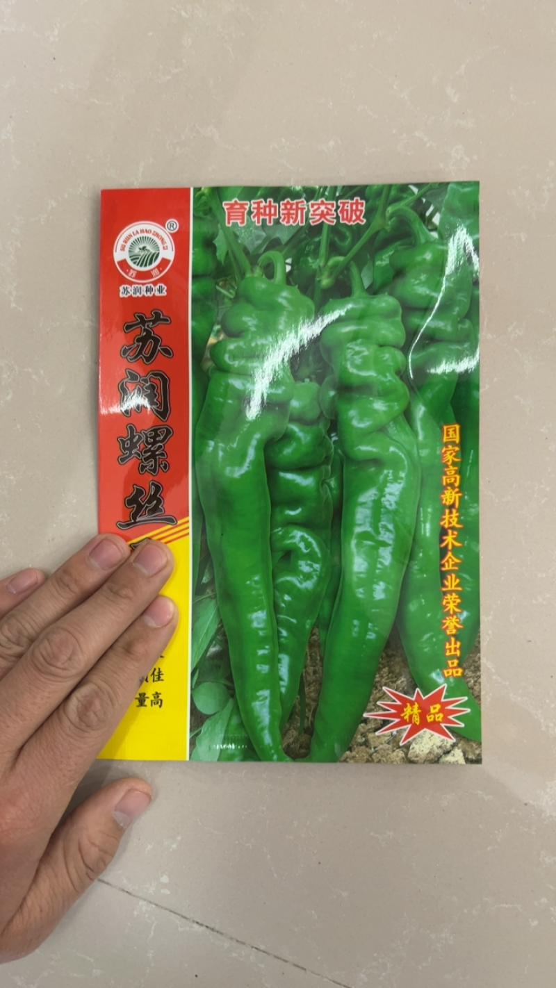 热销陇椒螺丝椒辣椒种子高端品种辣度高耐低温能力强挂果多
