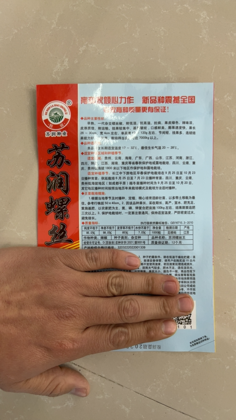 热销陇椒螺丝椒辣椒种子高端品种辣度高耐低温能力强挂果多
