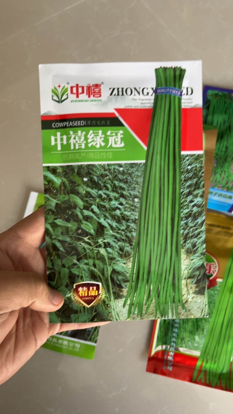 热销小袋装架和无架豆角条形均匀肉质细腻肥产量高条形顺直