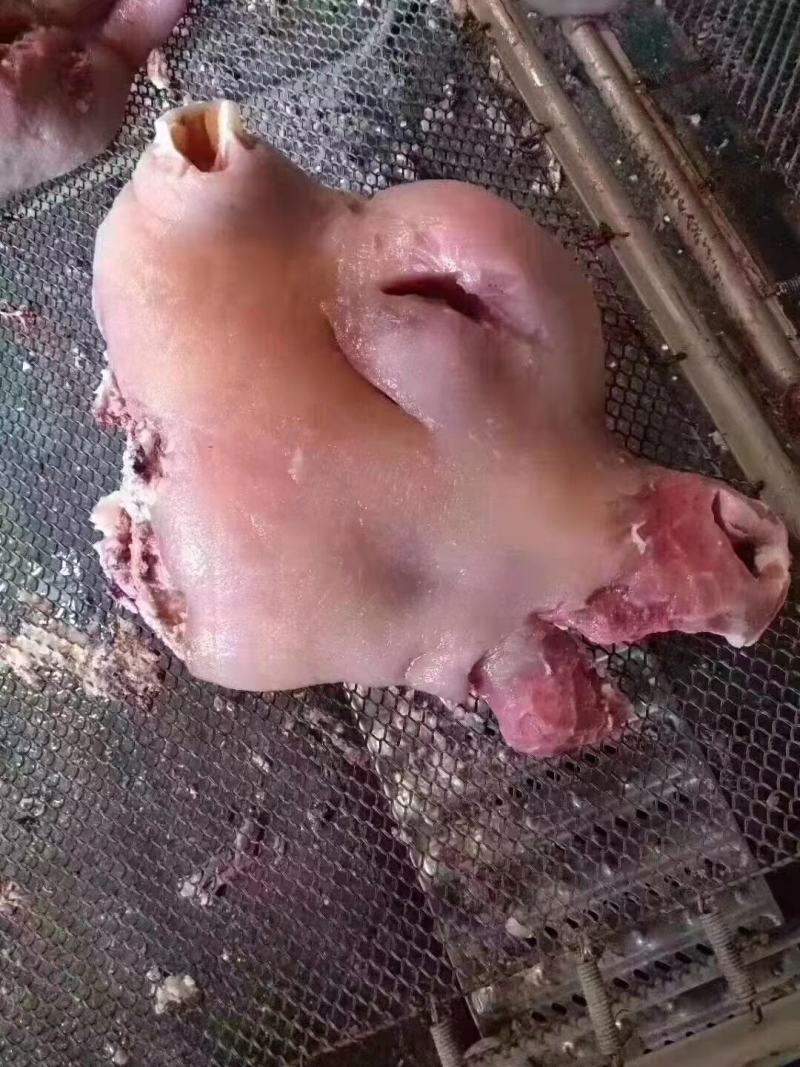 新鲜牛头肉羊头去骨羊脸肉不掺