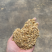谷壳