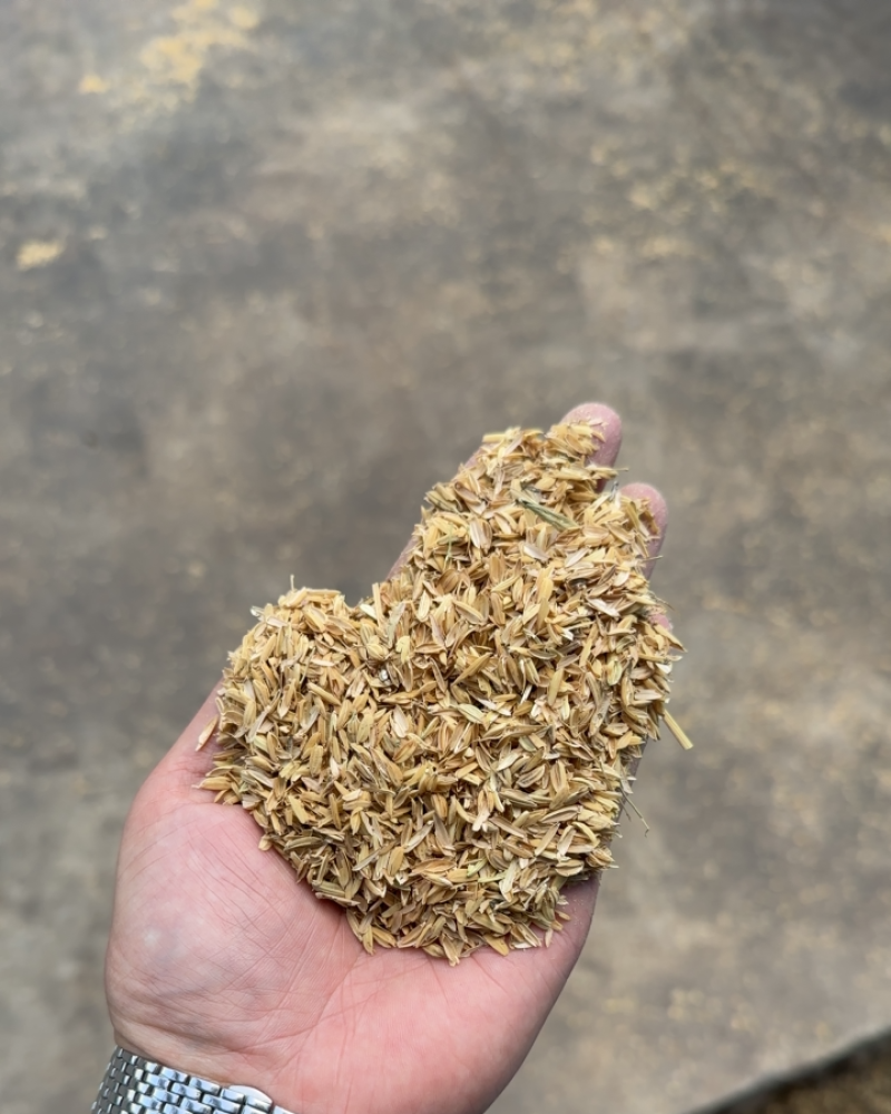 谷壳