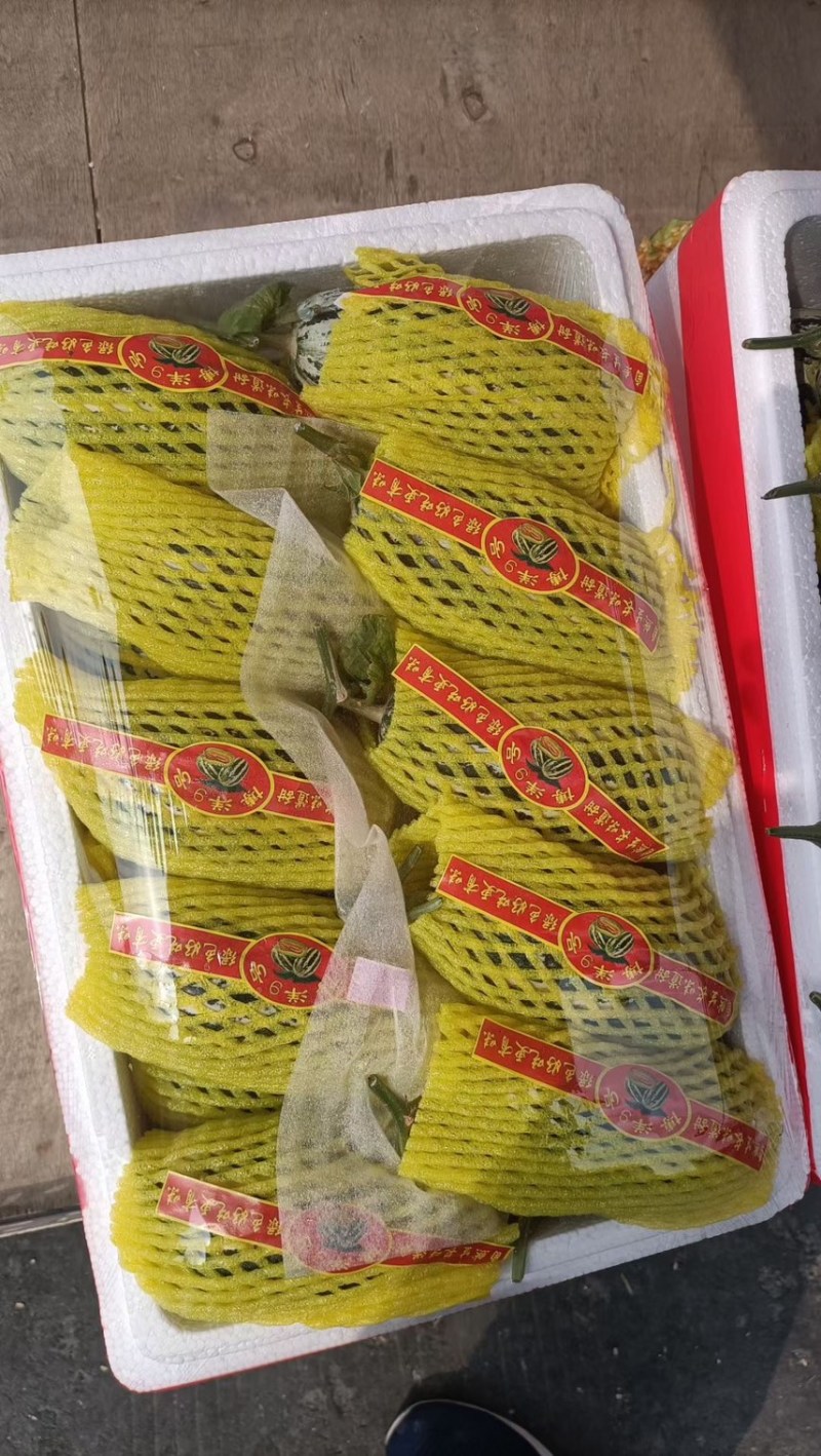 头茬博洋9⃣️博洋九一羊角蜜绿宝石代收代发
