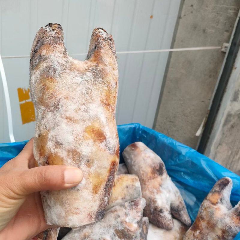 火烧牛蹄牛脚掌火烧去毛牛蹄红烧炖汤