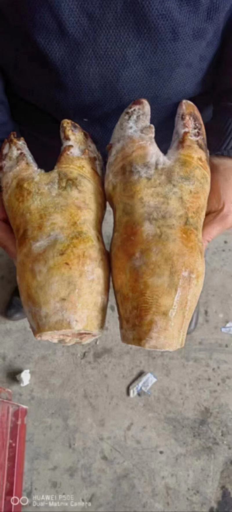 火烧牛蹄牛脚掌火烧去毛牛蹄红烧炖汤