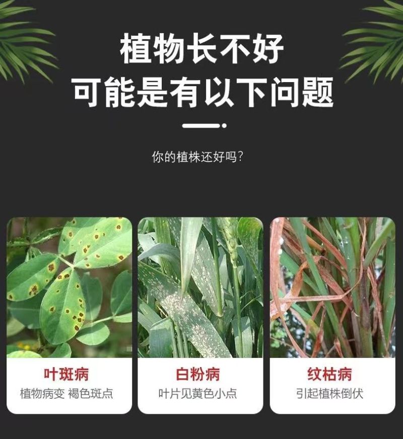 40%苯醚甲环唑黑星病醚菌脂灰霉病白粉炭疽病斑点落叶白粉