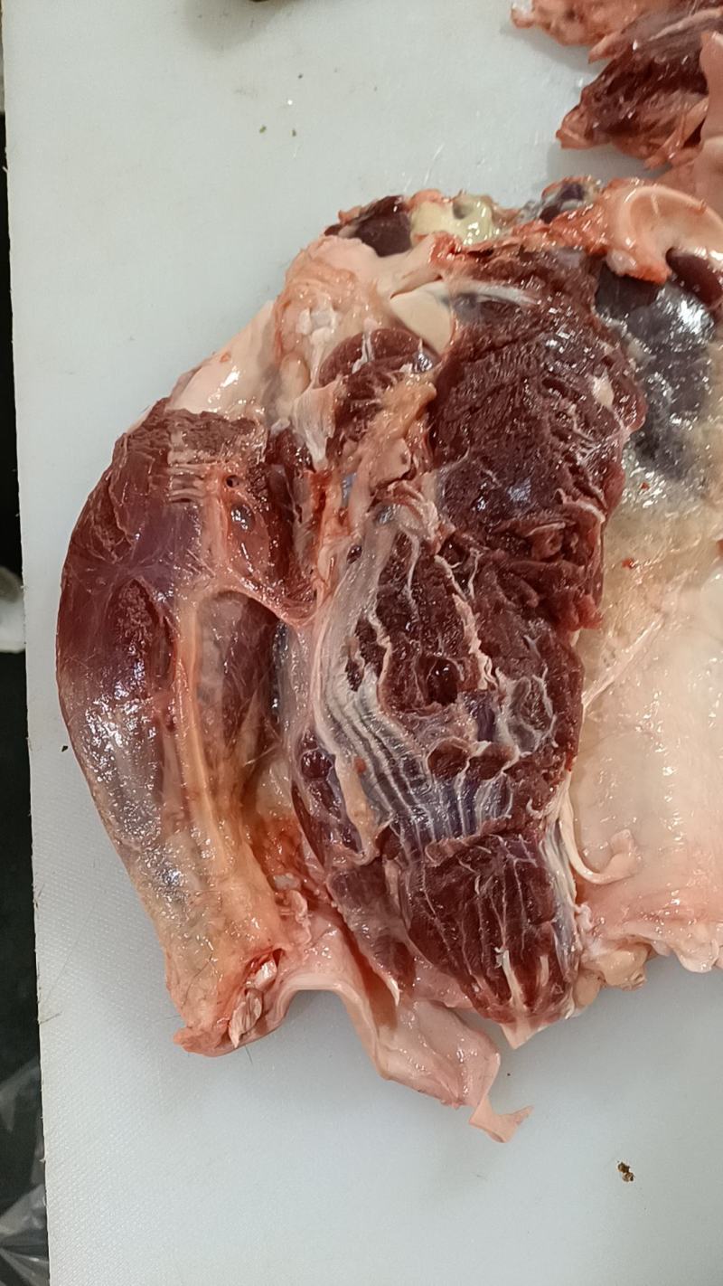 生鲜马肉，纯干马肉，现杀现宰，一手货源，厂家直销全国