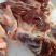 生鲜马肉，纯干马肉，现杀现宰，一手货源，厂家直销全国